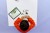 Klocki LEGO Minecraft 21583 Przygoda Steve’a w tajdze