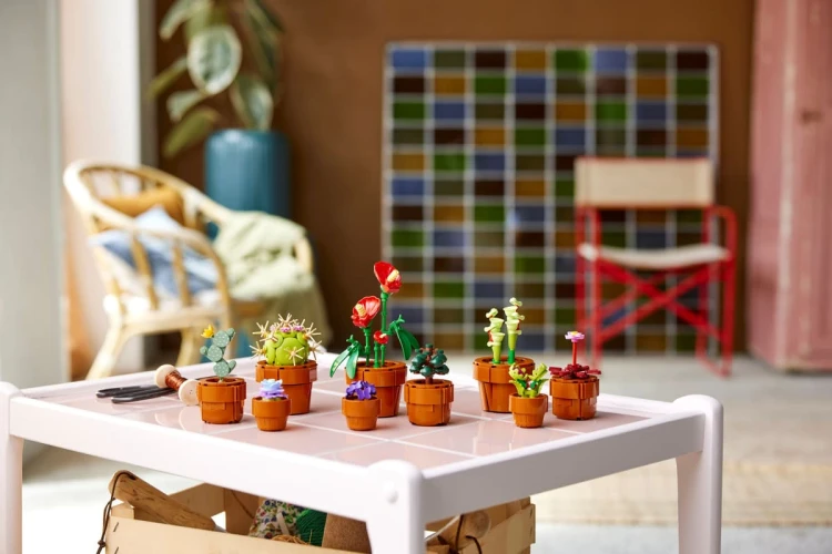 Klocki LEGO Botanicals 10329 Małe roślinki