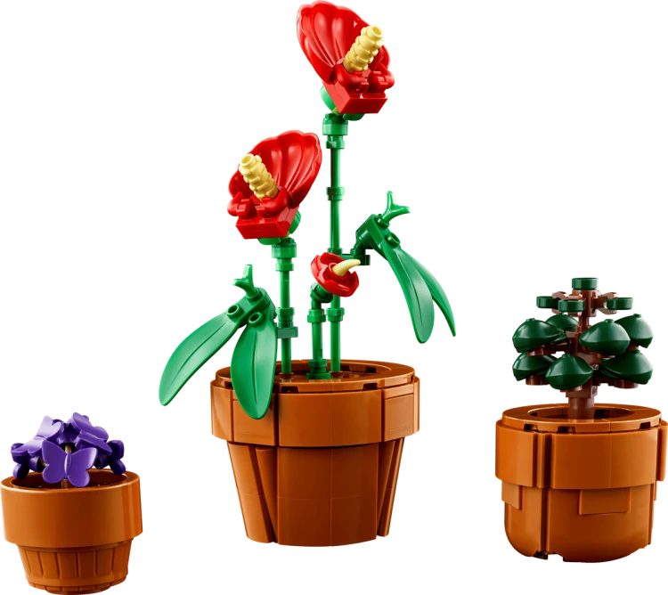 Klocki LEGO Botanicals 10329 Małe roślinki