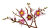 Klocki LEGO Botanical 11510 Gałązki magnolii
