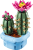 Klocki LEGO Botanicals 11509 Kwitnący kaktus