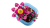 Klocki LEGO Botanicals 11509 Kwitnący kaktus