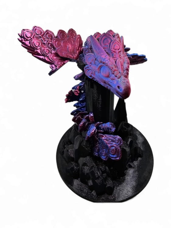 cc809ce5a3bf7e02a2cc776ecc37d8b3