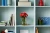 LEGO 10328 ICONS Bukiet róż