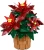 Klocki LEGO Botanicals 10370 Gwiazda Betlejemska