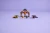 Klocki LEGO NINJAGO 71826 Smocze Spinjitzu — zestaw bitewny
