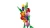 Klocki LEGO Botanical 11501 Bukiet tulipanów