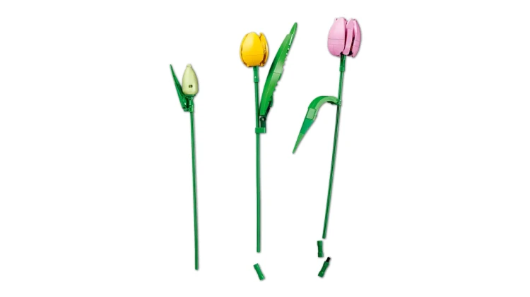 Klocki LEGO Botanical 11501 Bukiet tulipanów