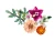 Klocki LEGO Botanical 10342 Piękny bukiet różowych kwiatów