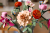 Klocki LEGO Botanical 10342 Piękny bukiet różowych kwiatów