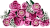Klocki LEGO Botanical 10374 Bukiet różowych róż