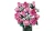 Klocki LEGO Botanical 10374 Bukiet różowych róż
