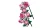 Klocki LEGO Botanical 10374 Bukiet różowych róż