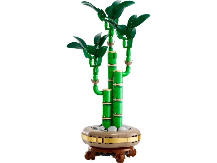 Klocki LEGO Botanical 10344 Dracena sandera