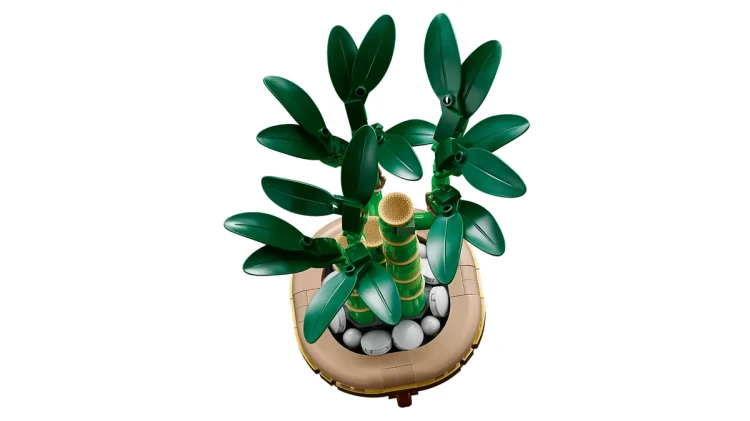 Klocki LEGO Botanical 10344 Dracena sandera
