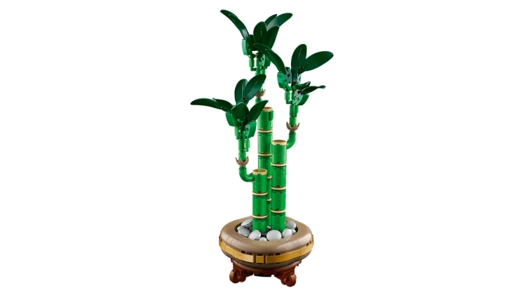 Klocki LEGO Botanical 10344 Dracena sandera