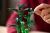 Klocki LEGO Botanical 10344 Dracena sandera
