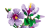 Klocki LEGO Botanical 10372 Hibiskus