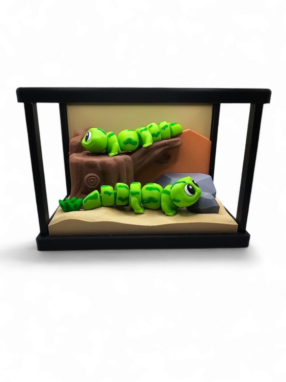 Salamander Habitat Aquarium – Dekoracyjne Terrarium