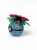 Venusaur Ball – Figurka Pokémon - Kolekcjonerska Pokeball