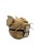 Raticate Ball – Figurka Pokémon - Kolekcjonerska Pokeball